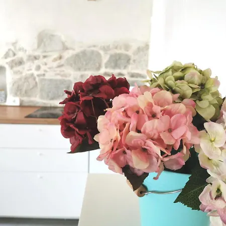 Guest house Guest House Maris 4*