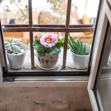 Guest House Maris Guest house